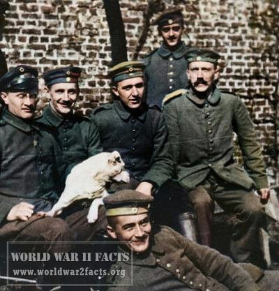 Adolf Hitler  World War I